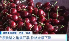 水果成熟采摘的旺季市场