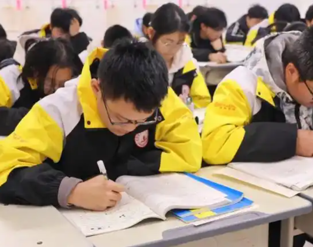 自己的学习状态和兴趣爱