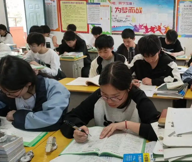 双减政策的落地由于这愈