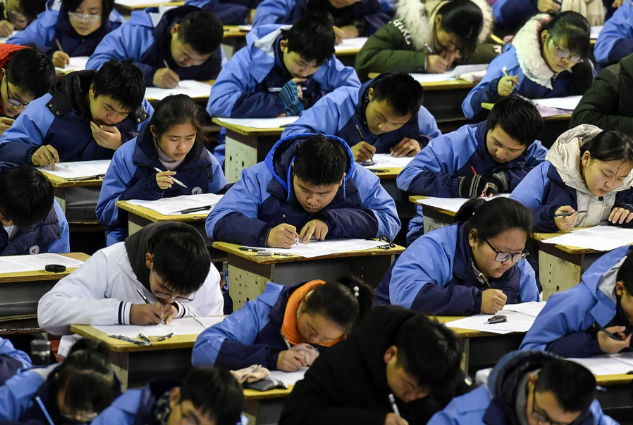 学习和终身生长的基础真